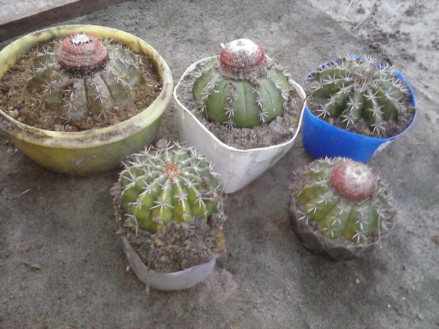 Expulsa o olho grande