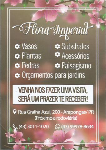 Flora Imperial - Vasos, Plantas, Pedras, Substratos,