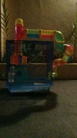 Casinha para hamster
