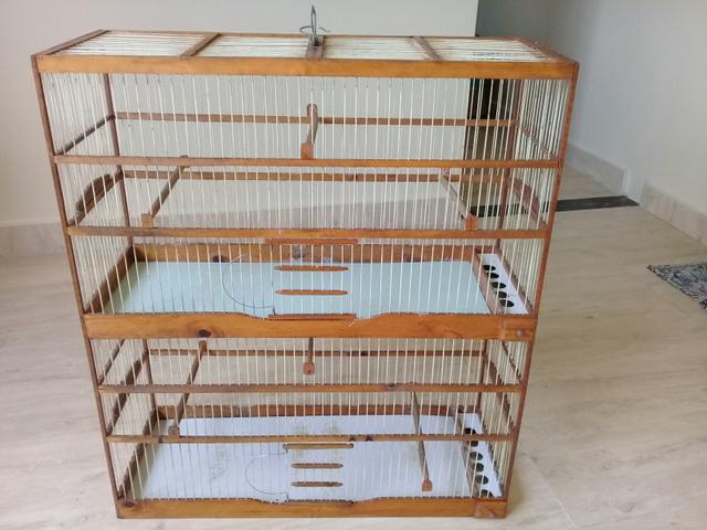 Pra leva logo essa gaiola linda