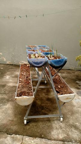 Carrinho para horta