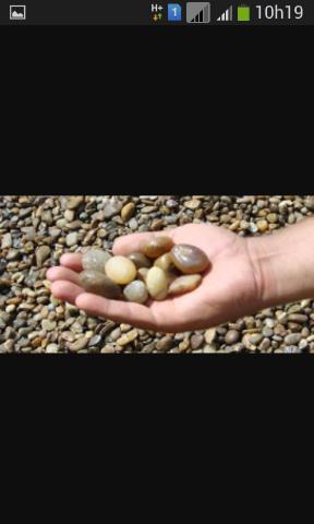 450 reais Carrada de 5mt Aproveite