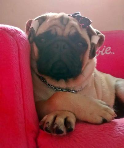 Princesa com 6 meses Sua Mãe vai Amar