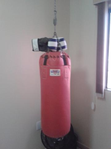 Saco de pancada America 95 marca Oficial com luvas