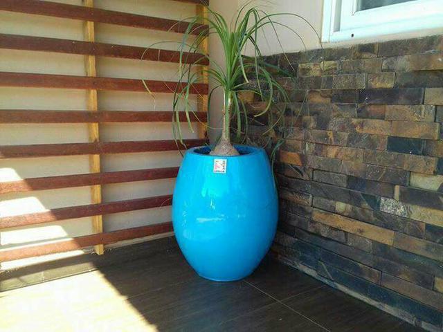 Sibbecai Vasos / Lajeado RS