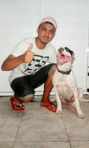 Vendo pitbull. 10 meses top otima linhagem. puro pai e mae