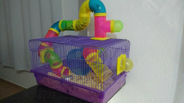 Hamster com gaiola