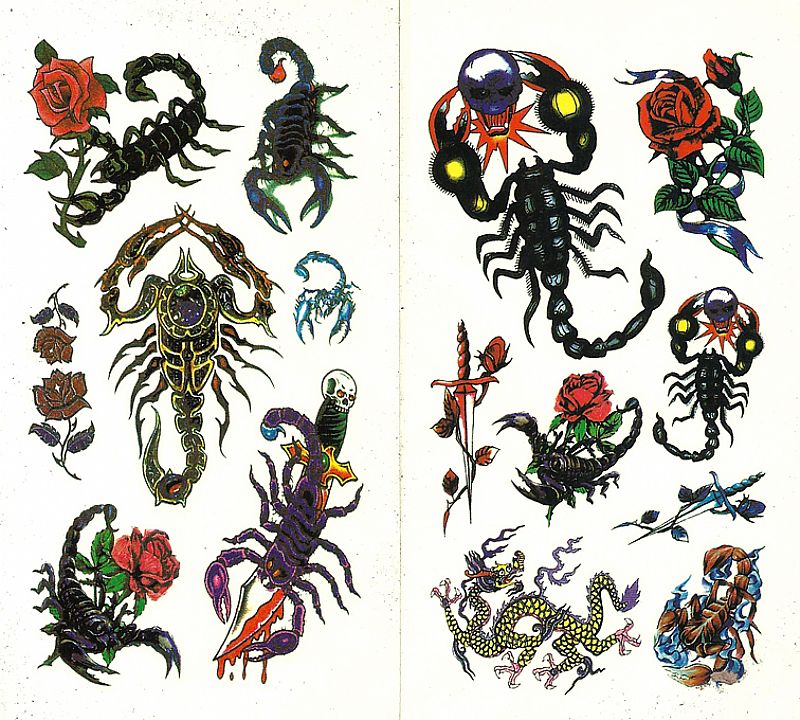 Rosas e animais (escorpiao em destaque), 4 cartelas 33