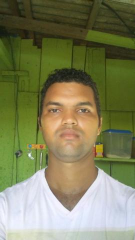 Corto arvore todos os bairro