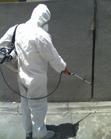 Dedetizacao limpeza de caixa e desentupimento