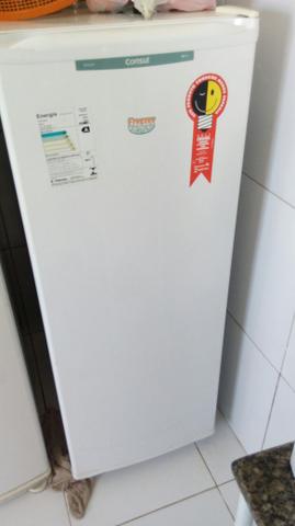 Freezer consul vertical