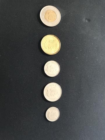 Vendo coleção moedas CANADÁ