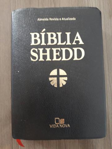 Bíblia shedd