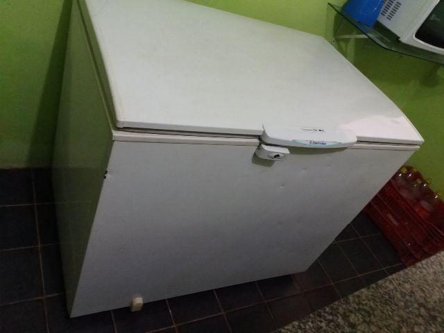 Freezer Electrolux H300