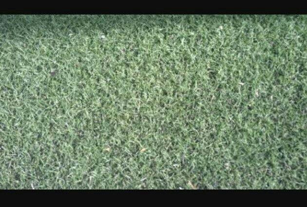 Grama Sintética Usada Super Forte, Ideal p Escolinha,