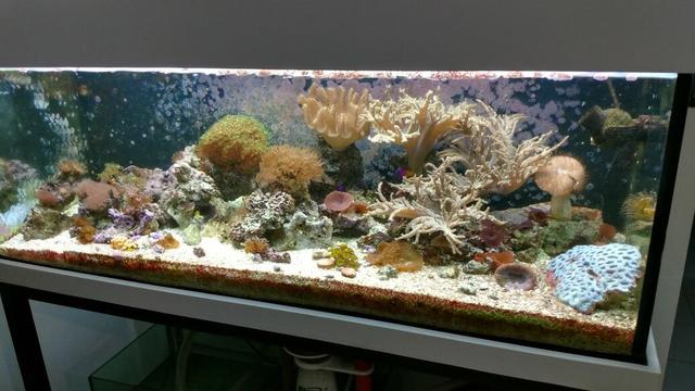 Luminária para aquário