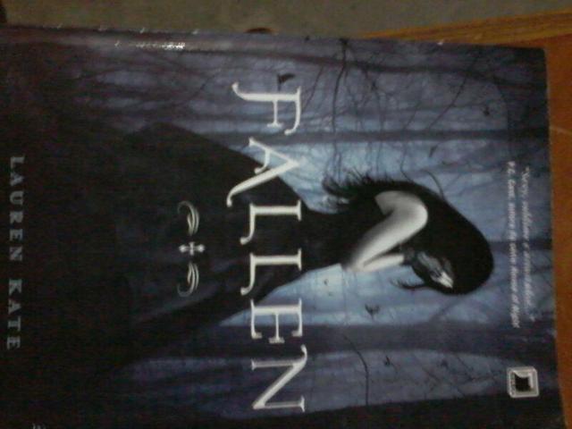Livro de fallen 1volume