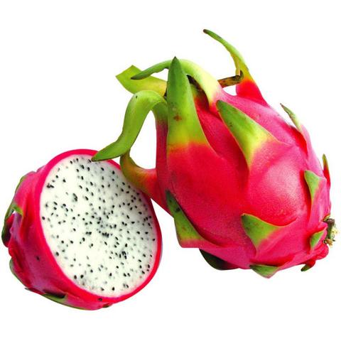 Mudas Frutiferas Pitaya Vermelha Ou Branca Produzindo