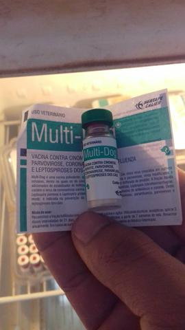 Vacinação em domicílio, vermifugos medicamentos