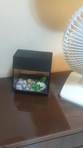 Aquário + aparelho de oxigênio