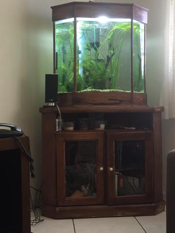 Aquário de canto