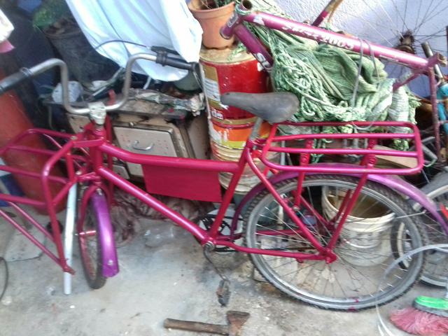 Bicicleta cargueira