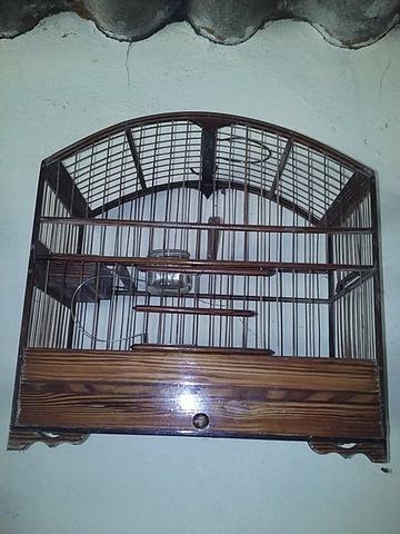 Gaiola para Curio - Pinho de riga