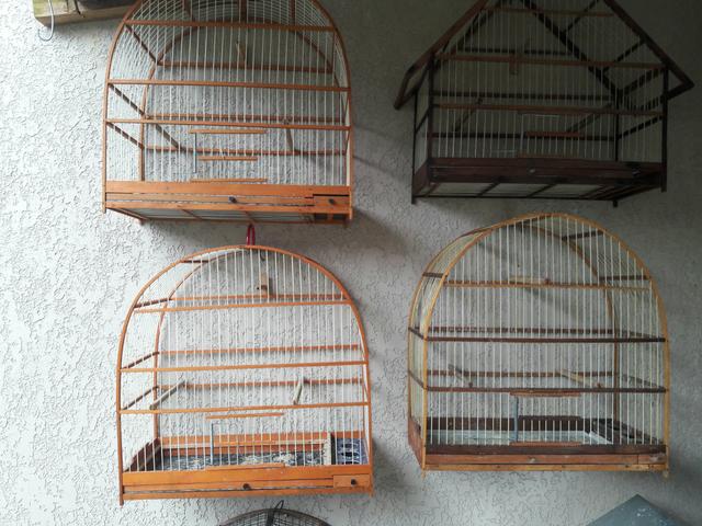 Gaiolas para canario belga