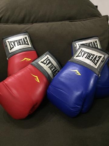 Luvas de boxe Everlast