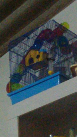 Casa de hamster de tres andares