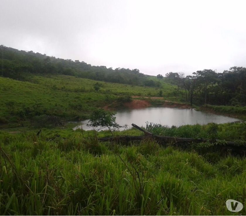 FAZENDA A VENDA EM GOIAS - MINAÇU