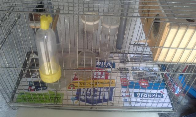 Gaiola de ferro para calopsita periquito ou passarinho