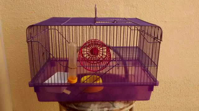 Gaiola para hamster