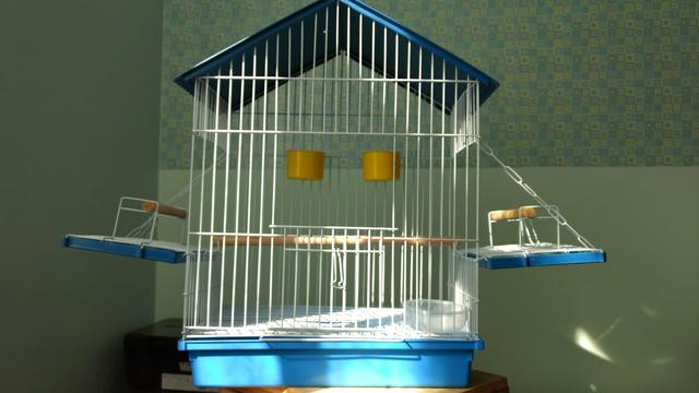 Gaiola para passarinho