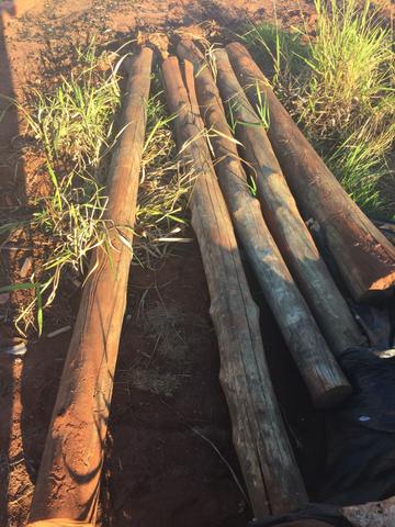 Torás de eucalipto tratado