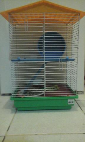 Hamster com casinha