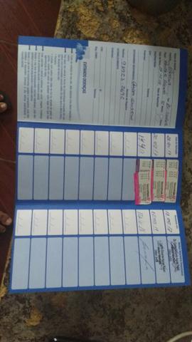 Pasto alemão capa preta