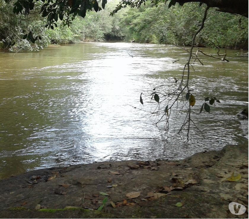 chácara á 105 km de Goiânia nas margens rio peixe.