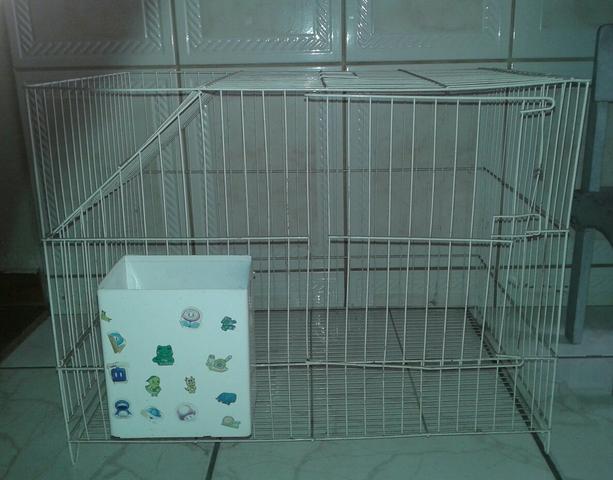 Gaiola Coelho e Porquinho da India