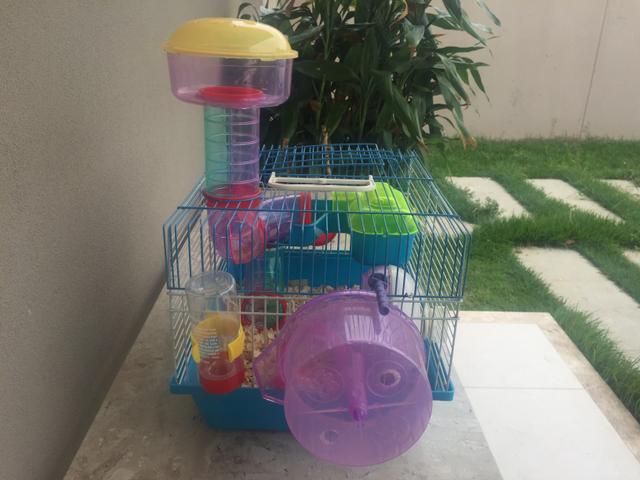 Casinha para Hámster