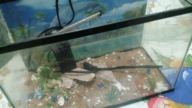 Aquário com Filtro e fundo 3D