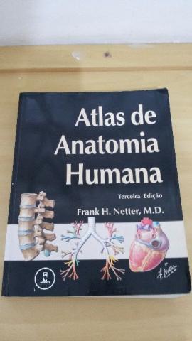 Atlas De Anatomia Humana Frank H. Netter. Terceira Edição
