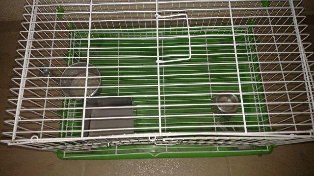 Gaiola Para Porquinho Da Índia, Chinchila Ou Rato Twister