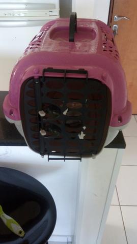 Plast pet para cachorro