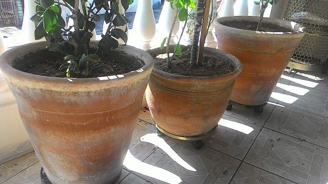 Vasos de cerâmica para Jardinagem