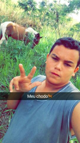 Vendo cavalo bao de sela manso sem nenhum defeito