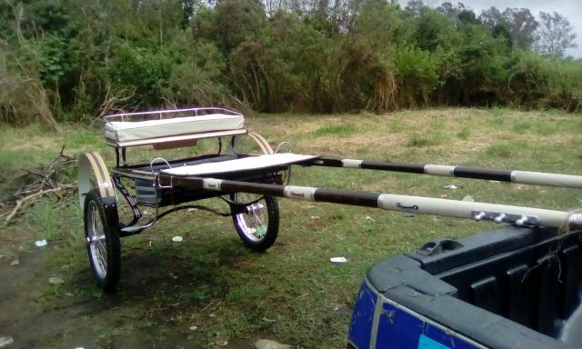 Charrete e Surke Novas