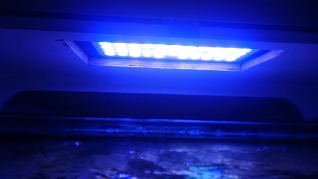 Luminária Led Para aquário