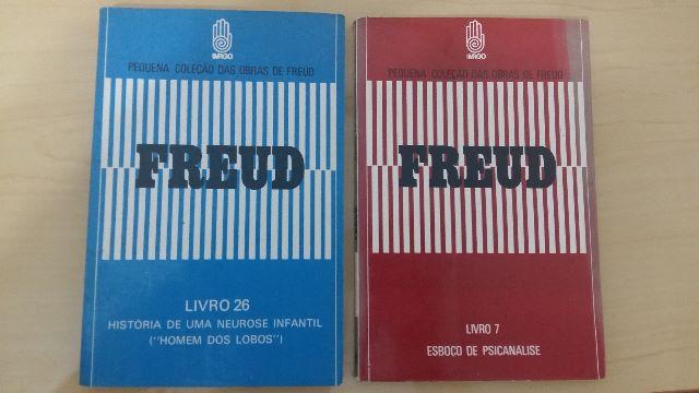 Pequena Coleção das Obras de Freud - Livro 7: Esboço de