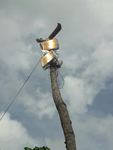 Refletores com lâmpada de vapor Metálico. Completo!